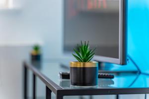 une plante en pot assise sur un bureau à côté d'un écran d'ordinateur dans l'établissement Bright 1 Bed Flat near London Bridge, à Londres