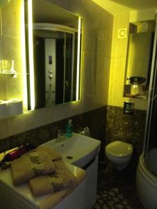 a bathroom with a sink and a toilet and a mirror at Apartman Malina in Zlatibor