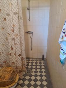 een badkamer met een douche en een toilet bij Kilplaste küla kämpingud 