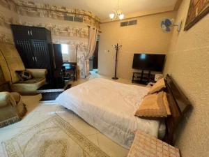 ein Schlafzimmer mit einem Bett, einem TV und einem Sofa in der Unterkunft شقة مفروشة دبي in Ajman 