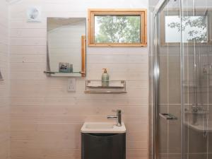 uma casa de banho com um lavatório e um chuveiro em Lottie's Hut em Okehampton
