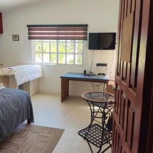 Schlafzimmer mit einem Schreibtisch, einem Bett und einem Fenster in der Unterkunft Studio Norte, Casa Brisamar in Puerto Morelos