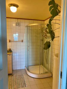 eine Dusche mit Glastür im Bad in der Unterkunft Råket 3 in Viggja