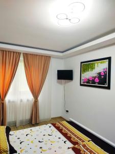 a room with a bed and a tv on a wall at Boulevard Flat in Alba Iulia