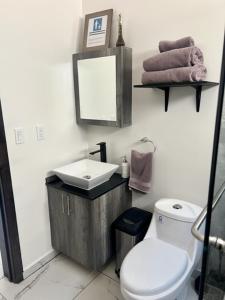 uma casa de banho com um WC, um lavatório e um espelho. em DEPARTAMENTOS ARTICULO 123 - departamento #1 em Tijuana