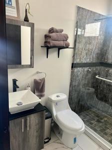 uma casa de banho com um chuveiro, um WC e um lavatório. em DEPARTAMENTOS ARTICULO 123 - departamento #1 em Tijuana