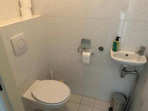 a small bathroom with a toilet and a sink at Cairo in Almere +10 photos