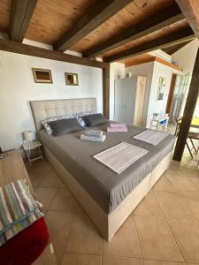 a bedroom with a large bed in a room at Villa Victor in Babino Polje