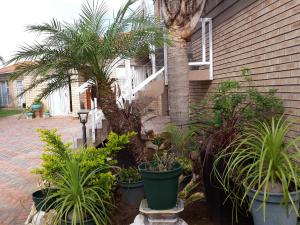 a garden with plants in pots next to a house at Abby's Guesthouse in Port Elizabeth