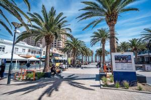 a city street with palm trees and a sign at Minutes from the beach shops and parks in Glenelg