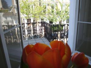 uma flor na frente de uma janela com vista em Luxury Bright & Quiet Flat - Chelsea - Earls Court em Londres