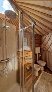 uma casa de banho com um WC e um chuveiro num quarto em MonvisoRelax em Ostana