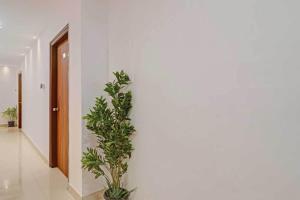 un pasillo con paredes blancas y una planta en Super Townhouse 1185 Rcc Pride, en Hyderabad