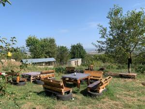 a group of tables and benches in a field at Eco family guest house in Mlashe +23 photos
