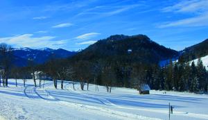 a snow covered slope with trees and a mountain at Haus Kartoner in Schladming