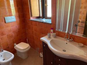 a bathroom with a toilet and a sink and a mirror at Masseria degli Alberti in Mormanno +42 photos