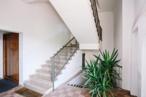 Fotografie z fotogalerie ubytování Flat Mazzini 6 v destinaci Alzano Lombardo