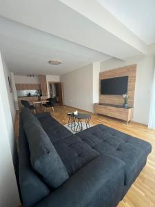 a large blue couch in a living room with a television at Apartment33 in Strumica