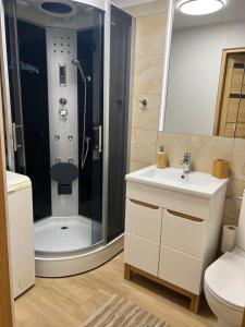 a bathroom with a shower and a sink and a toilet at Ranczo Borówka in Łapanów +13 photos
