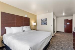 a large bed in a hotel room with a white bedspread at Cobblestone Hotel & Suites - De Pere Green Bay in De Pere