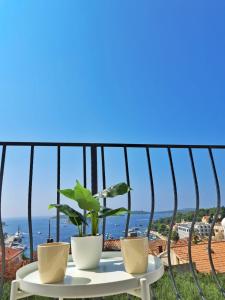 a table with a plant on top of a balcony at Ida view in Hvar