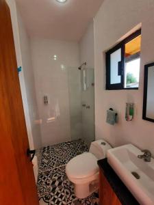 a bathroom with a toilet and a shower and a sink at Casa GaTo Tequisquiapan in La Tortuga