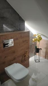 a bathroom with a white toilet and a plant at Apartament Góry Bardzkie in Bardo