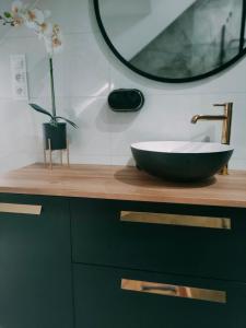 a bathroom with a black bowl sink and a mirror at Apartament Góry Bardzkie in Bardo