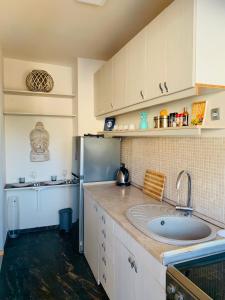 a kitchen with a sink and a refrigerator at Milion in Tivat