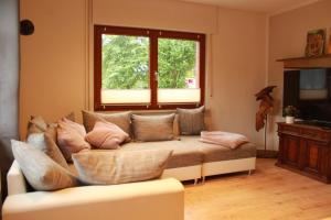 sala de estar con sofá y ventana en Ferienwohnung CONNI, en Hellenthal