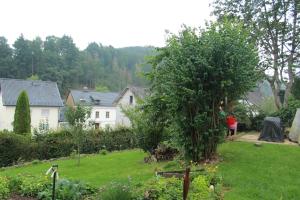 un jardin avec un grand arbre dans une cour dans l'établissement Ferienwohnung CONNI, à Hellenthal