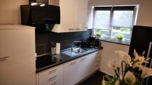 uma cozinha com um lavatório e uma bancada em Spa Lounge Hannover em Hanôver