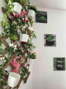 Una pared con plantas en macetas en una pared con cuadros. en Black & White Harmony, en Belfort