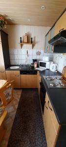 een kleine keuken met een fornuis en een wastafel bij Haus-Dannigkow in Dannigkow