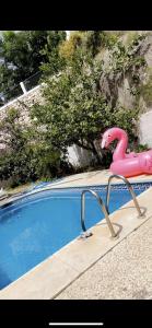 einen rosa Flamingo-Stuhl neben einem Pool in der Unterkunft Cozy apartment with private pool in Benalmádena