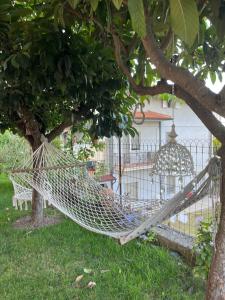 Zahrada ubytování SALGE b&b RESIDENZA DI CHARME