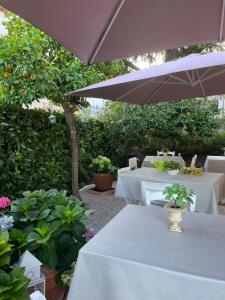 Zahrada ubytování SALGE b&b RESIDENZA DI CHARME