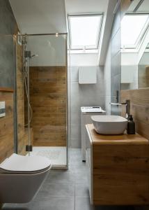 a bathroom with a toilet and a sink and a shower at Family Apartment - Centrum in Kudowa-Zdrój