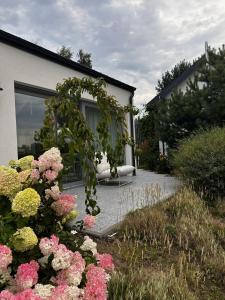 Zahrada ubytování Botanica
