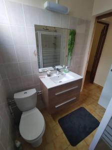 ein Badezimmer mit einem WC, einem Waschbecken und einem Spiegel in der Unterkunft Location Hibiscus in Pointe-Noire