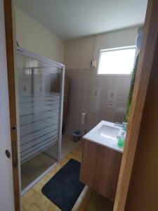 a bathroom with a glass shower and a sink at Location Hibiscus in Pointe-Noire