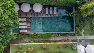 an overhead view of a swimming pool with plants at Club do Balanço Pousada e Restaurante in Morro de São Paulo