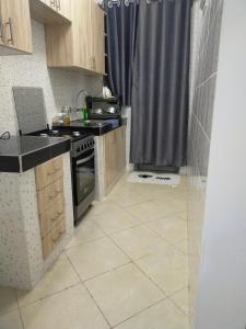 cocina pequeña con fregadero y fogones en One bedroom apartments tulivu, en Thika