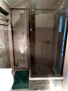 La salle de bains est pourvue d'une douche avec une porte en verre. dans l'établissement Banin, à Skradin