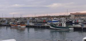 a group of boats are docked at a marina at L'Escale Cotinarde in La Cotinière