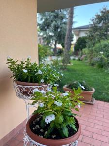 Zahrada ubytování SALGE b&b RESIDENZA DI CHARME