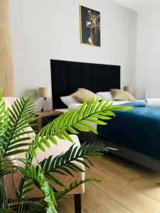 sypialnia z niebieskim łóżkiem i zieloną rośliną w obiekcie DoriSol w Solcu-Zdroju