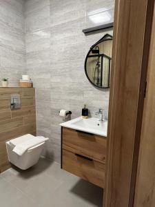 uma casa de banho com um lavatório, um WC e um espelho. em DoriSol em Solec-Zdrój