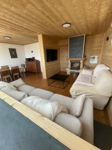 een woonkamer met banken en een flatscreen-tv bij Chalet Isard Pyrénées 2000 - 300m des pistes in Bolquere Pyrenees 2000