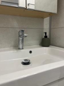 a white sink with a soap dispenser on top of it at Appartement T1 Côté jardin à Thionville in Thionville